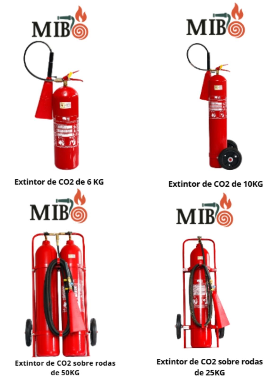 Conjunto co2 poratil e sobre rodas